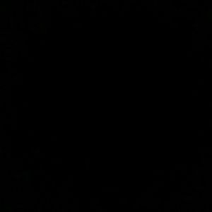 Meet your Posher, Bela